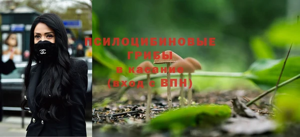 СК Алзамай