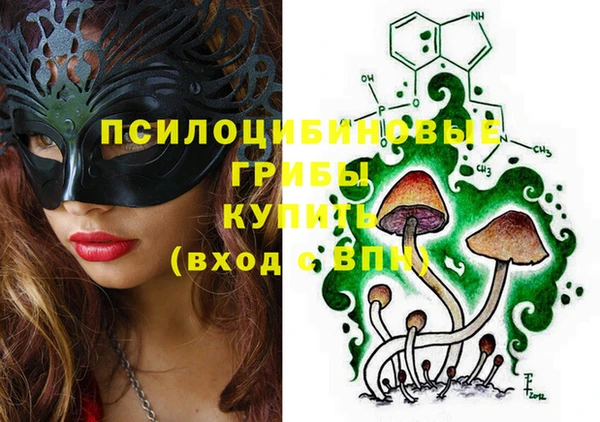 дживик Алексин