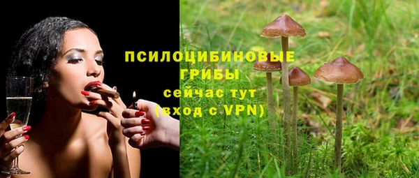 СК Алзамай