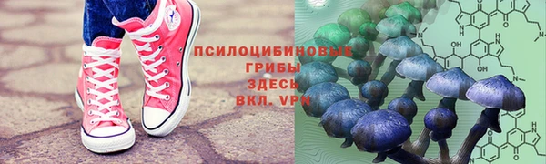 дживик Алексин